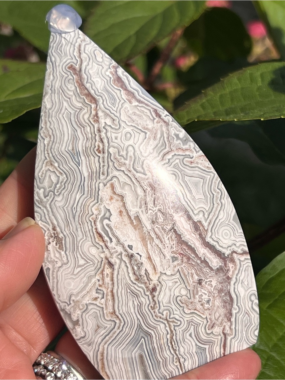 Mexican (2) lace agate teardrop | Crystal